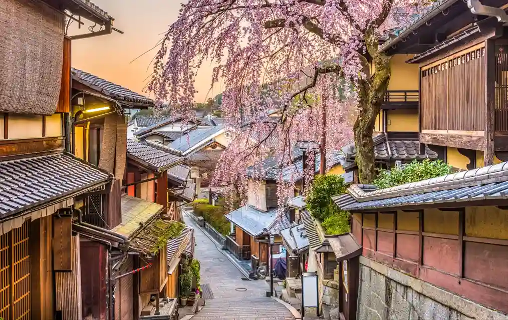 Keindahan Kyoto, Jepang, dengan bangunan tradisional khas dan bunga sakura yang bermekaran, menciptakan suasana romantis yang sempurna untuk honeymoon luar negeri.