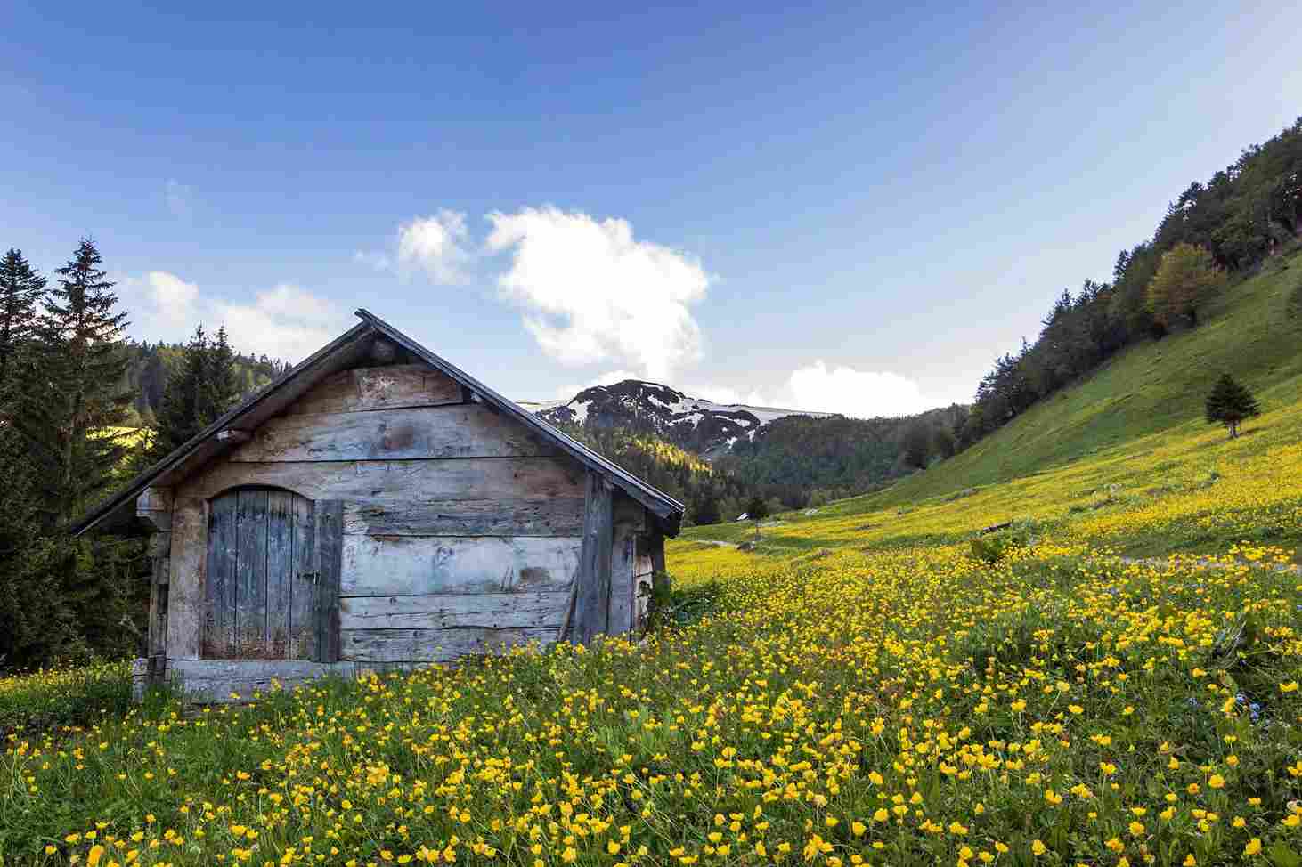 Menjelajahi Montenegro, Negara Kecil dengan Pemandangan Maksimal